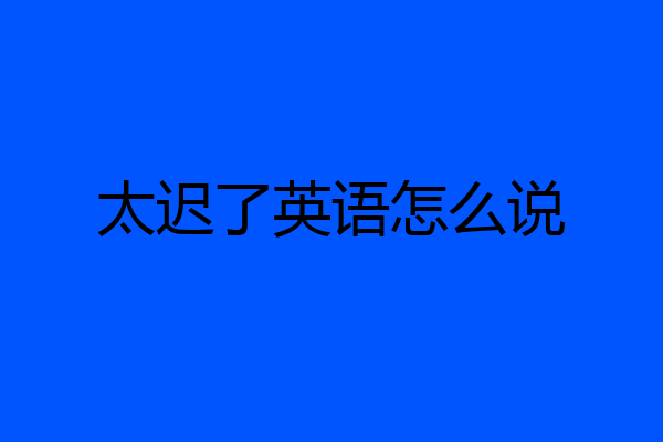 太迟了英语怎么说