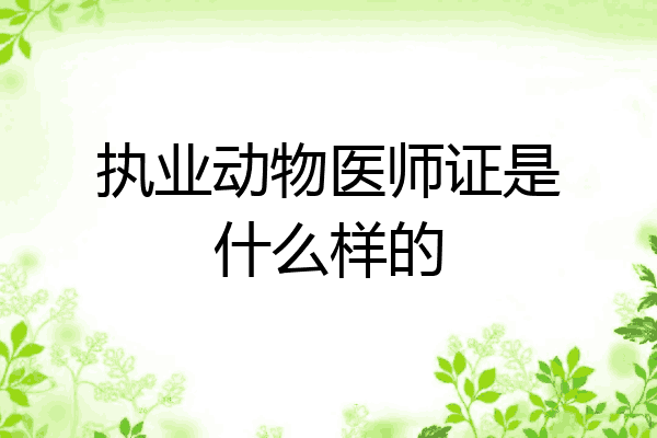 执业动物医师证是什么样的