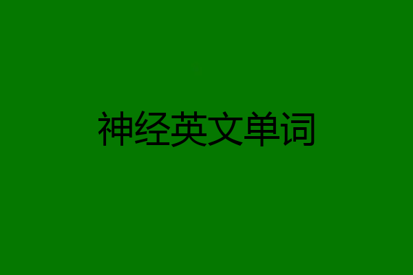 神经英文单词