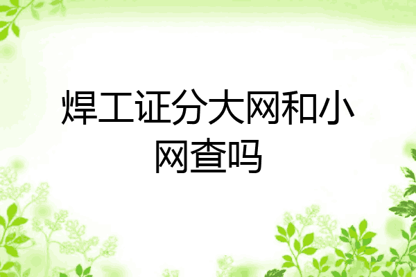 焊工证分大网和小网查吗