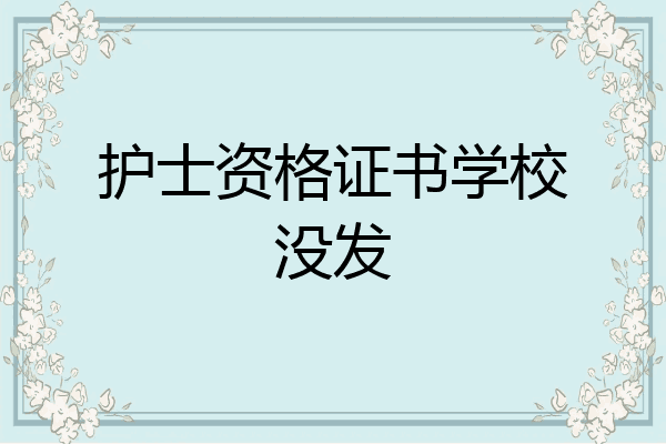 护士资格证书学校没发