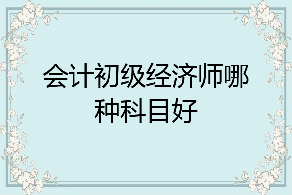 会计初级经济师哪种科目好