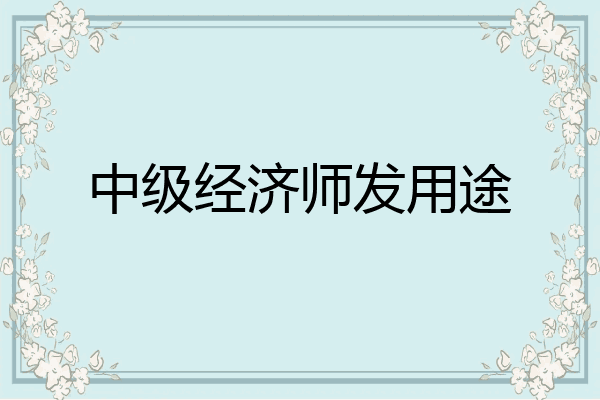 中级经济师发用途