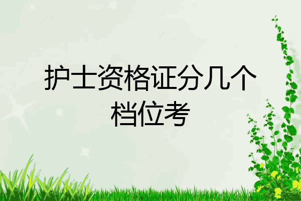 护士资格证分几个档位考