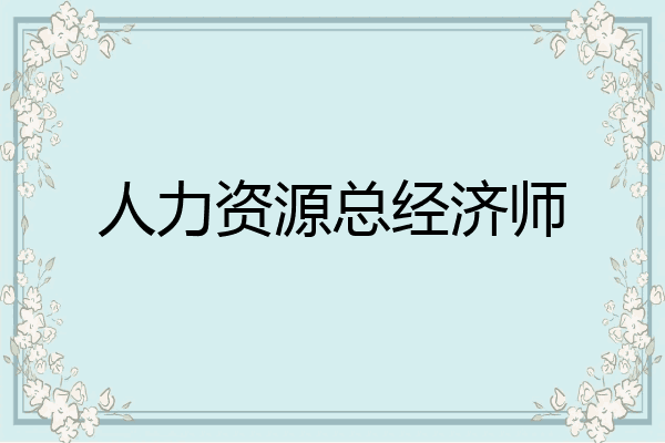 人力资源总经济师