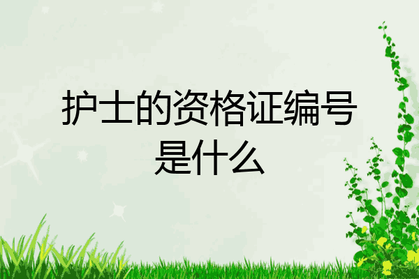护士的资格证编号是什么