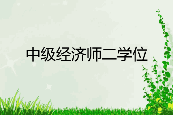 中级经济师二学位