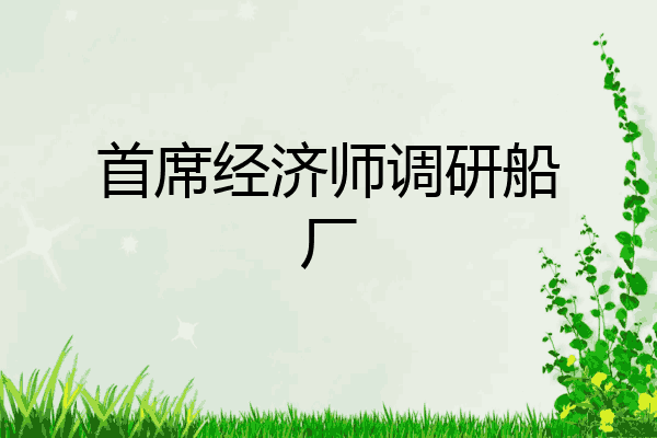 首席经济师调研船厂