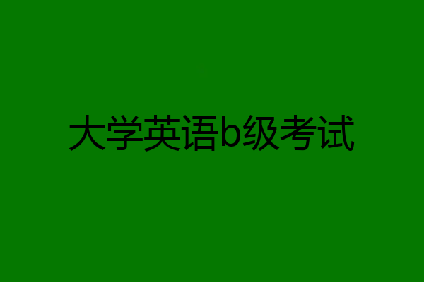 大学英语b级考试