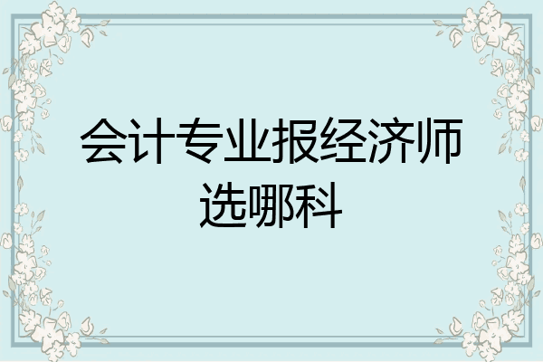 会计专业报经济师选哪科