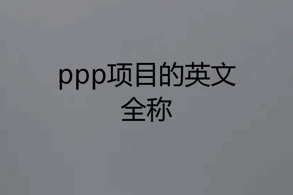 ppp项目的英文全称