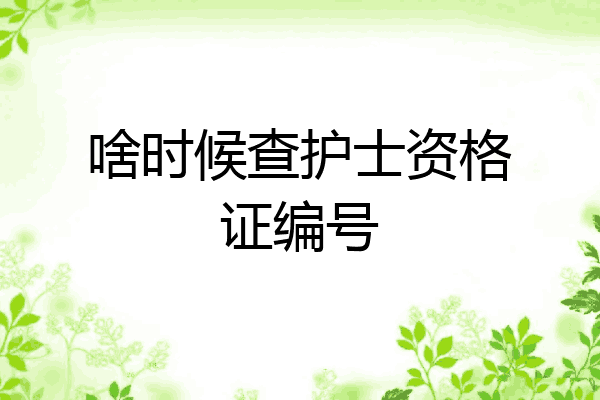啥时候查护士资格证编号