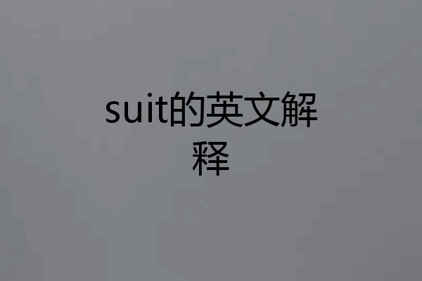 suit的英文解释