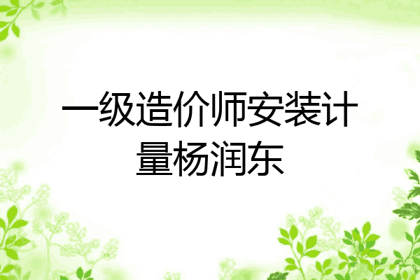 一级造价师安装计量杨润东