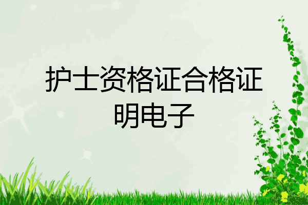 护士资格证合格证明电子