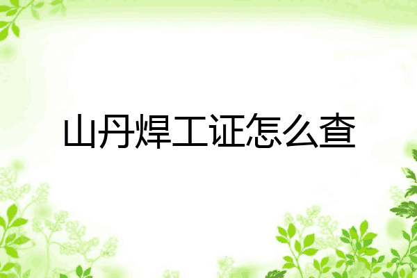 山丹焊工证怎么查