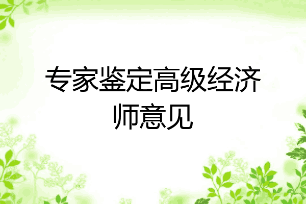 专家鉴定高级经济师意见