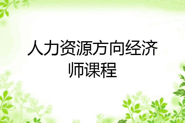 人力资源方向经济师课程
