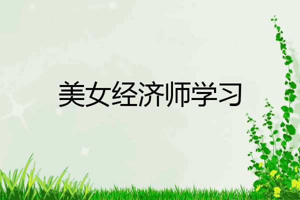 美女经济师学习