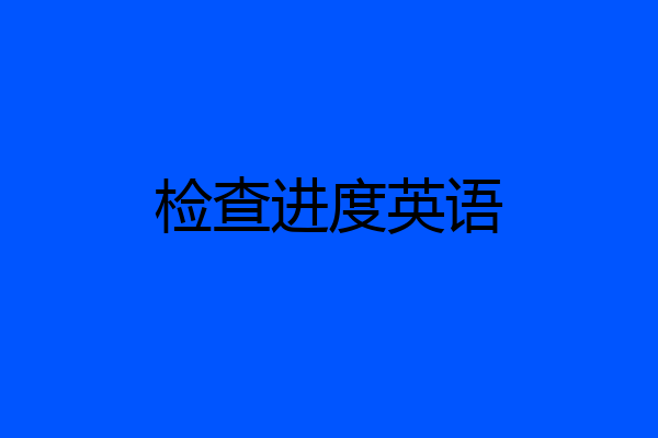 检查进度英语