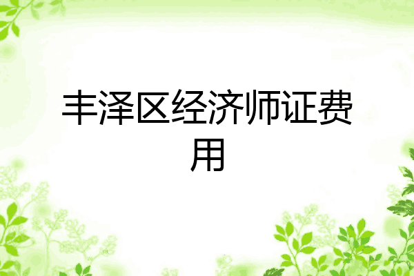 丰泽区经济师证费用