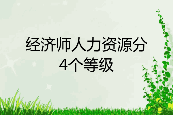 经济师人力资源分4个等级