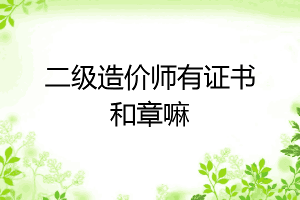 二级造价师有证书和章嘛