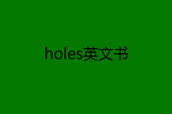 holes英文书