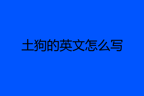 土狗的英文怎么写