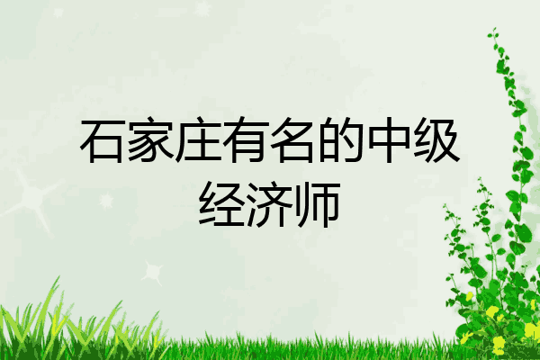 石家庄有名的中级经济师