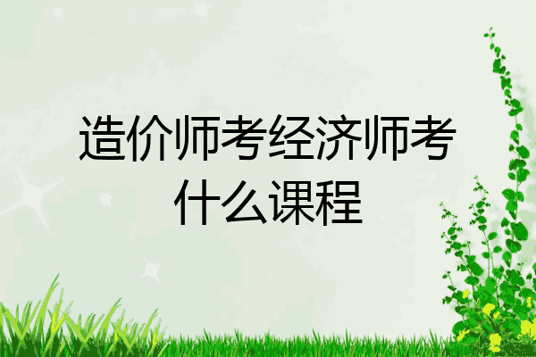 造价师考经济师考什么课程