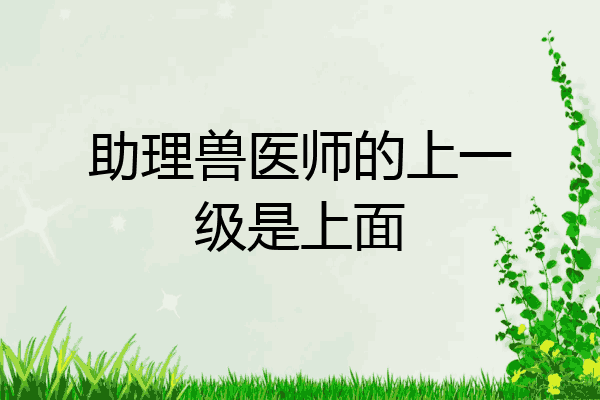 助理兽医师的上一级是上面