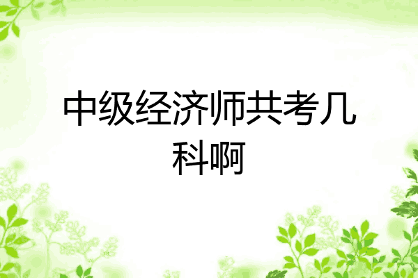 中级经济师共考几科啊