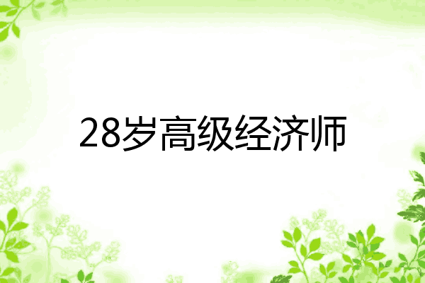 28岁高级经济师