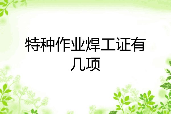 特种作业焊工证有几项