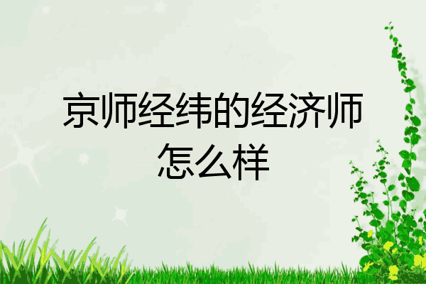 京师经纬的经济师怎么样