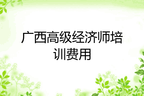 广西高级经济师培训费用