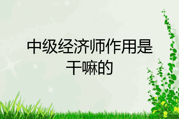 中级经济师作用是干嘛的