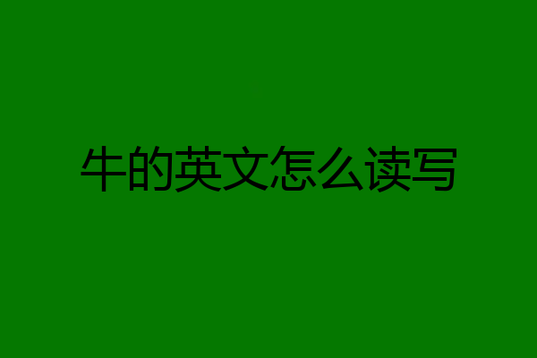牛的英文怎么读写