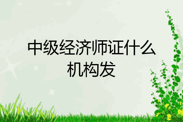 中级经济师证什么机构发