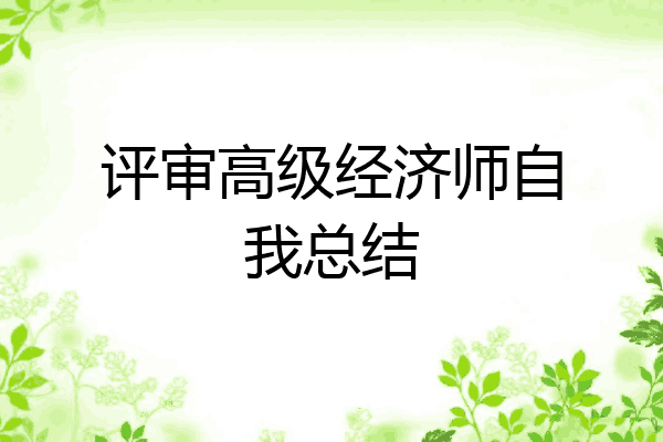 评审高级经济师自我总结