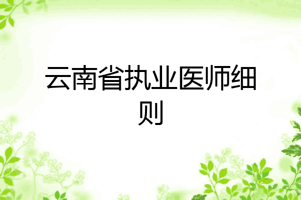云南省执业医师细则