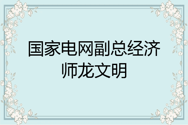国家电网副总经济师龙文明