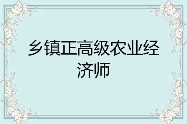 乡镇正高级农业经济师