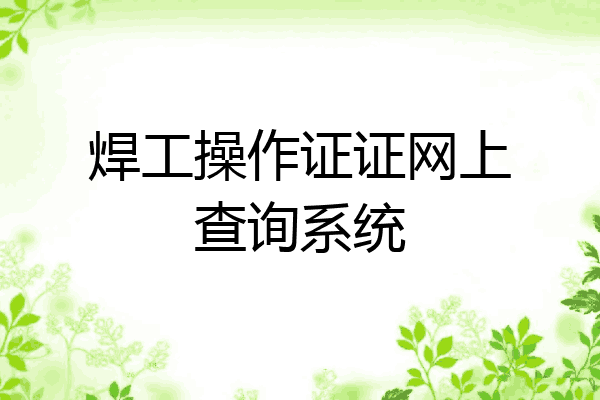 焊工操作证证网上查询系统