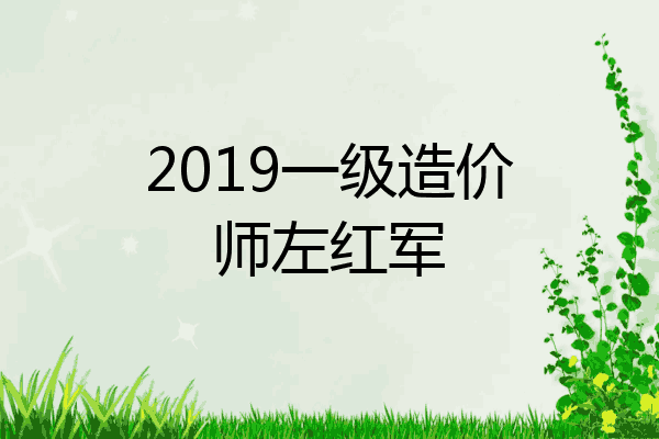 2019一级造价师左红军