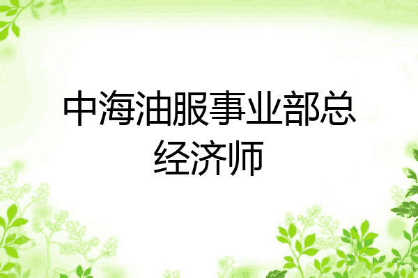 中海油服事业部总经济师