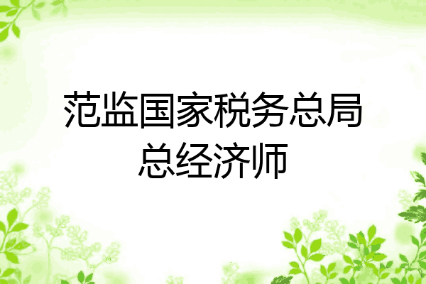 范监国家税务总局总经济师