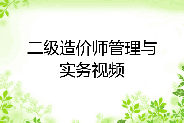 二级造价师管理与实务视频