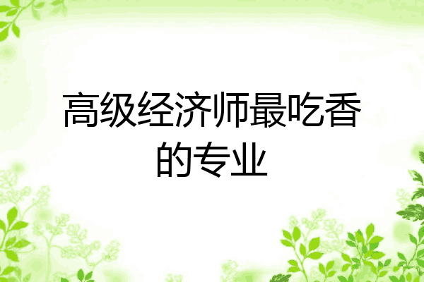 高级经济师最吃香的专业